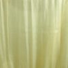 Golden Mist Yellow Sequins Embroidered Tissue Saree - Image 5